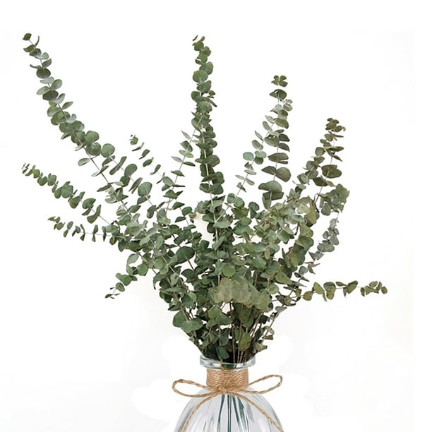 Artificial Eucalyptus Dried Leaves Flower Bouquet Indoor Home Wedding Decor Artificial Eucalyptus Dried Leaves Flower Bouquet Indoor Home Wedding Decor